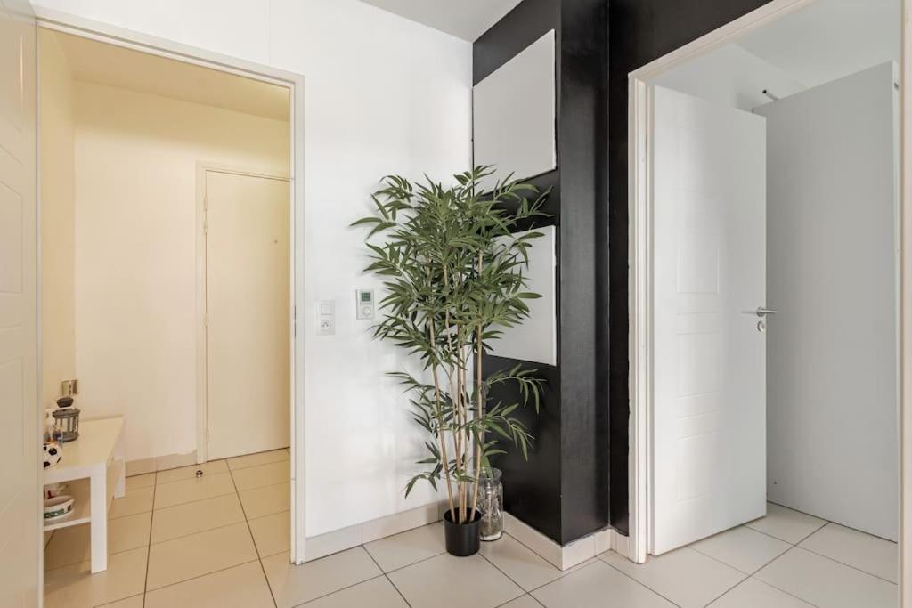 Appartement Cosy Et Chic Монпелие Екстериор снимка